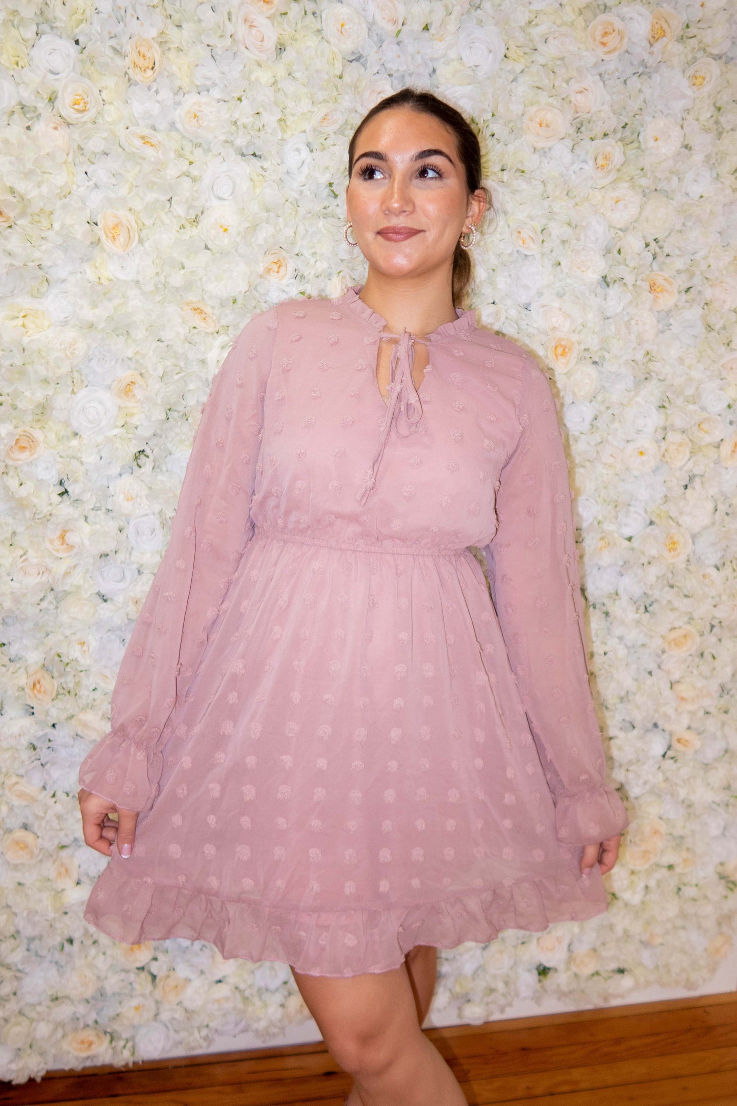 Blush Swiss Dot Long Sleeve Dress
