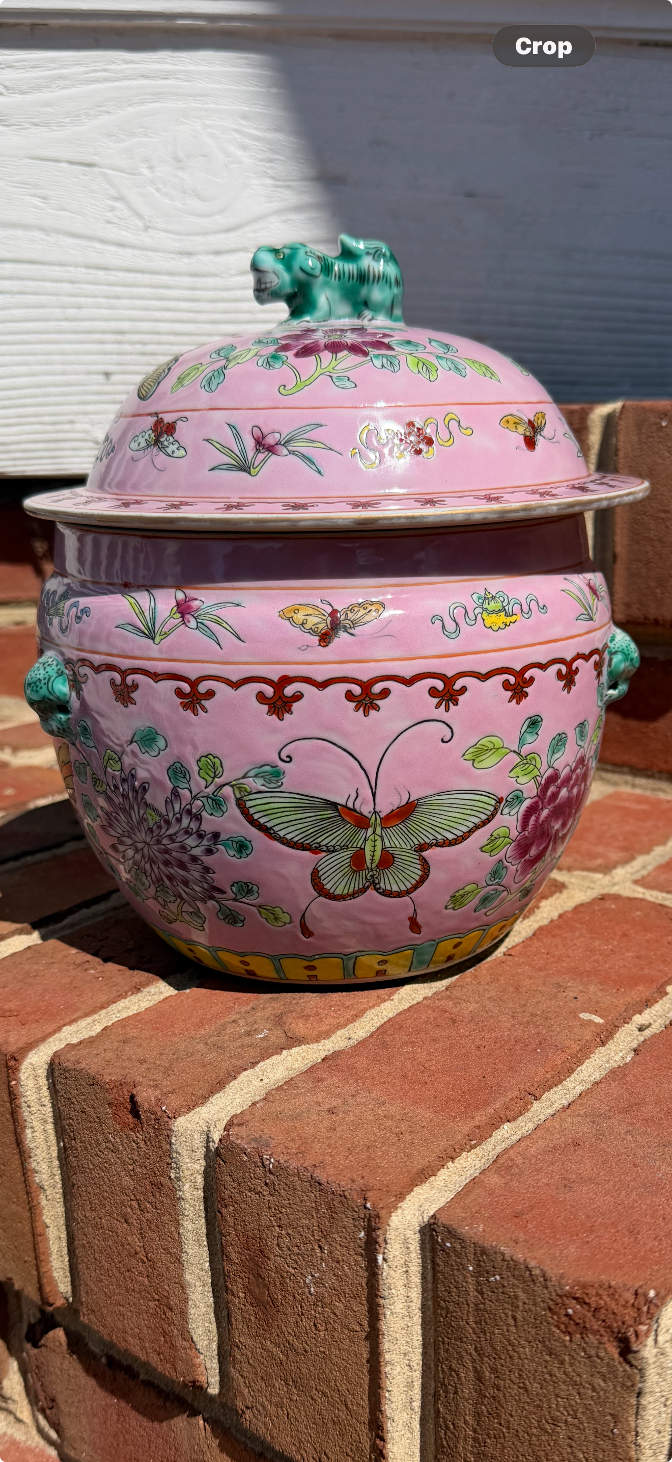 Pink, Butterflies, Foo Dog Lid