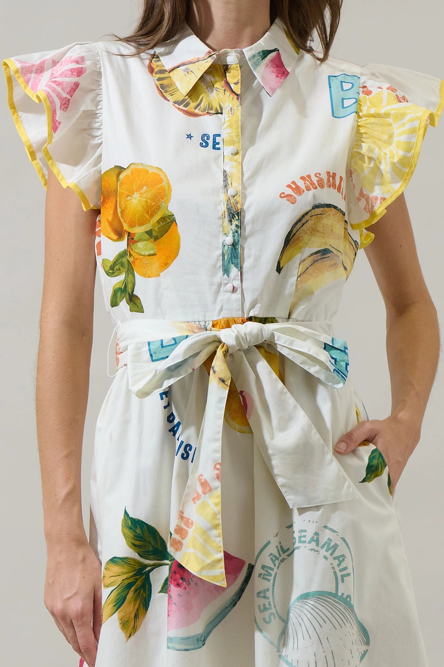 Island Fruit Ruffle Collared Dress