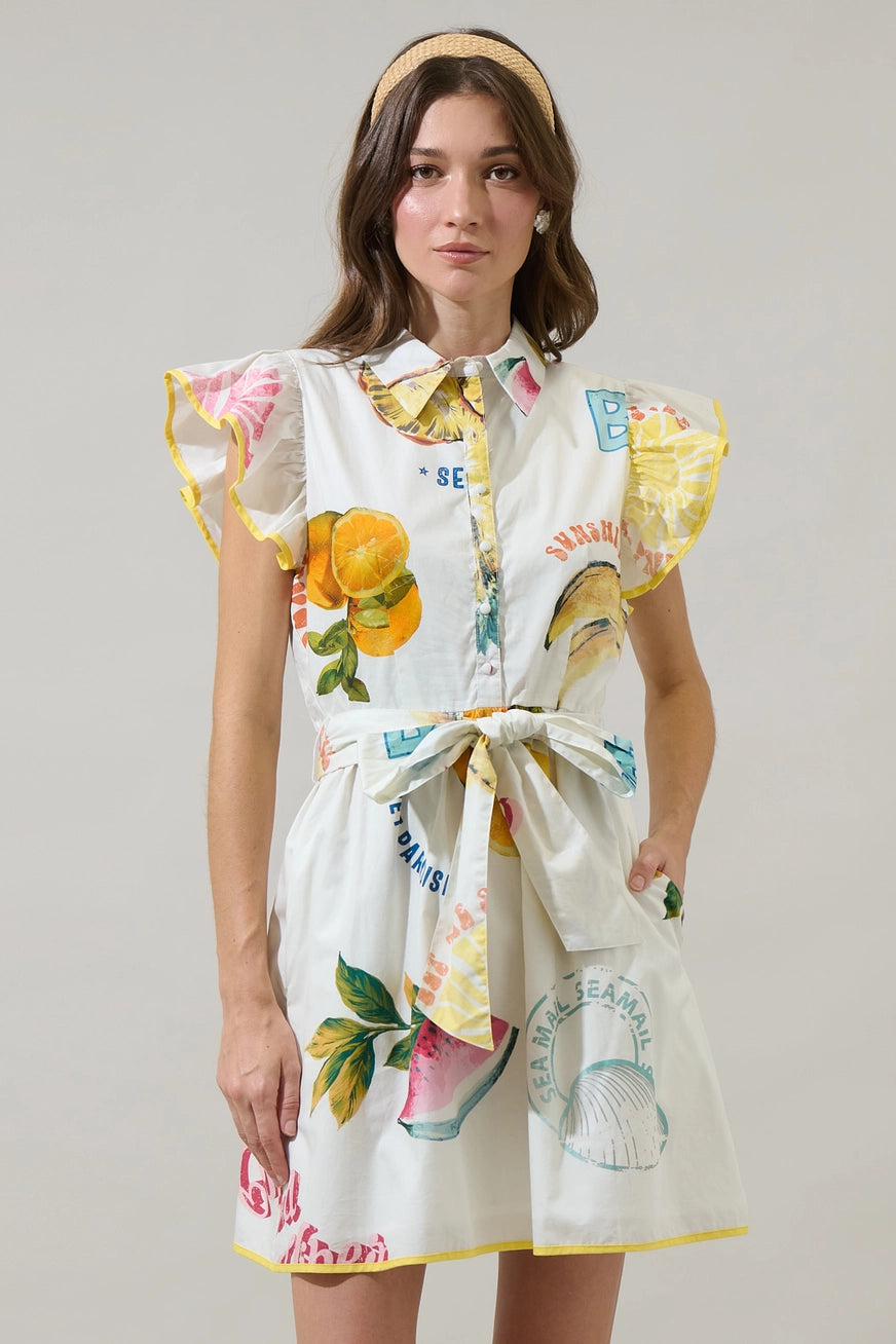 Island Fruit Ruffle Collared Dress