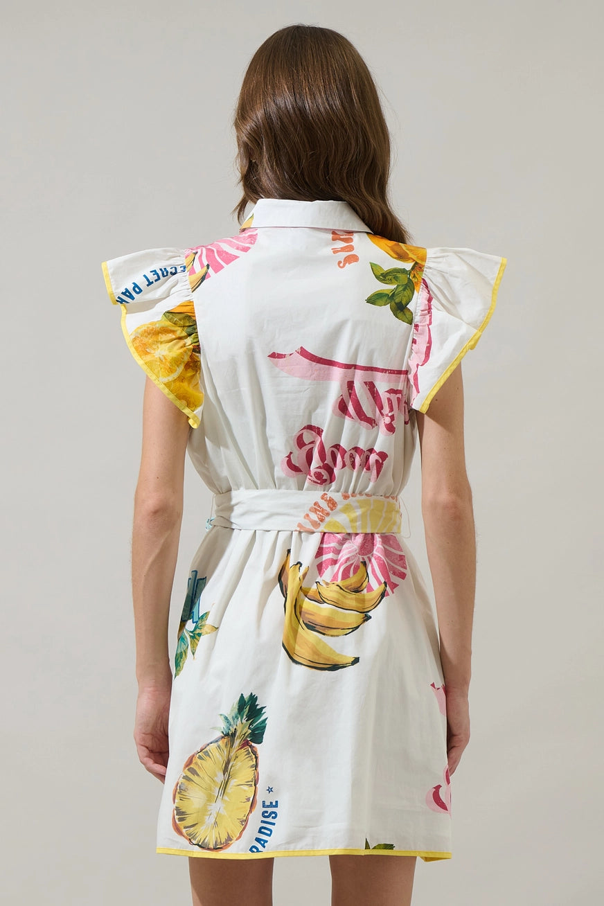 Island Fruit Ruffle Collared Dress