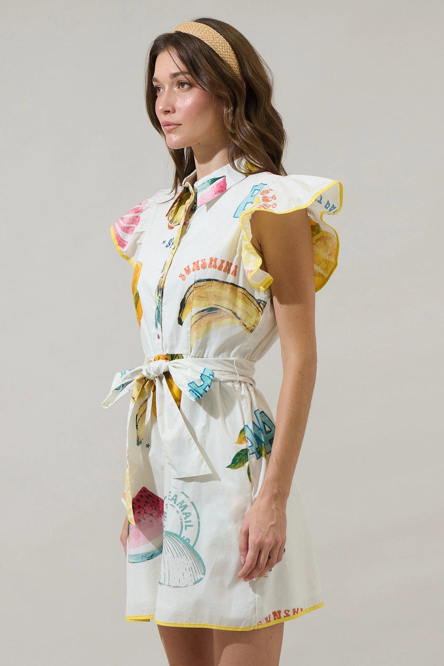 Island Fruit Ruffle Collared Dress