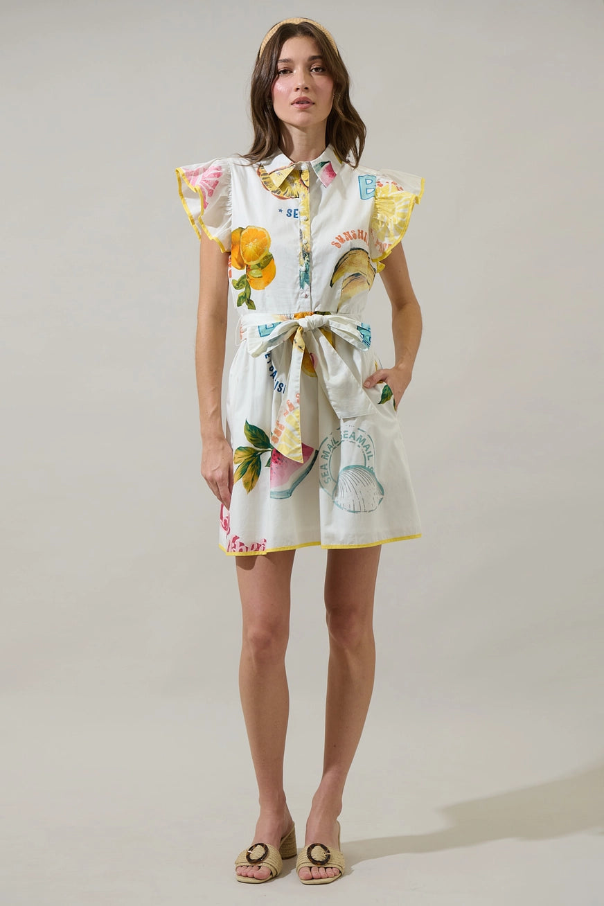 Island Fruit Ruffle Collared Dress