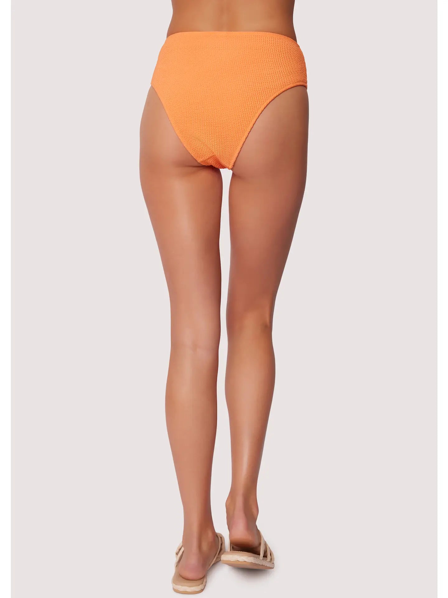 Sun Kissed High Waist Bikini Bottom