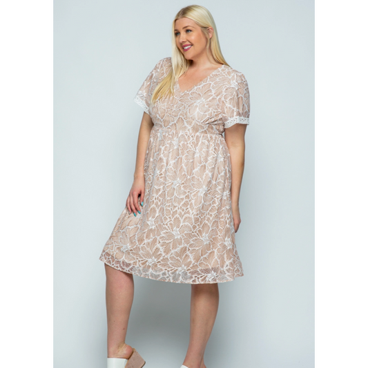 Blush Lace Curvy Fit Midi Dress