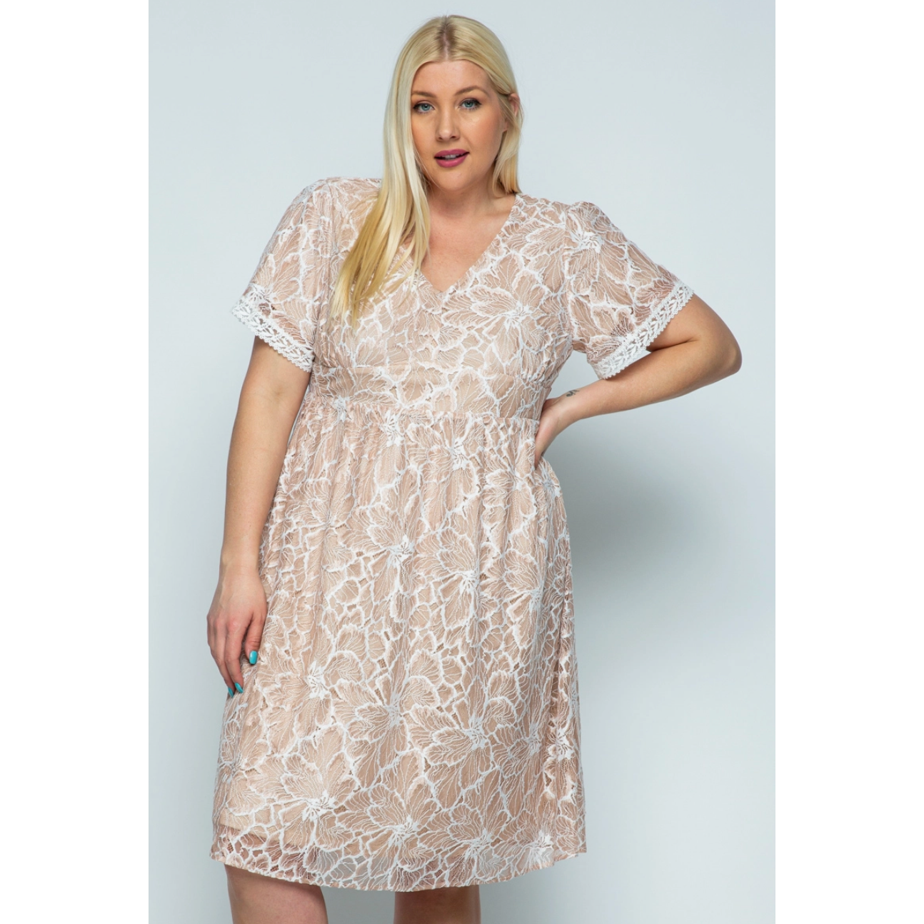 Blush Lace Curvy Fit Midi Dress