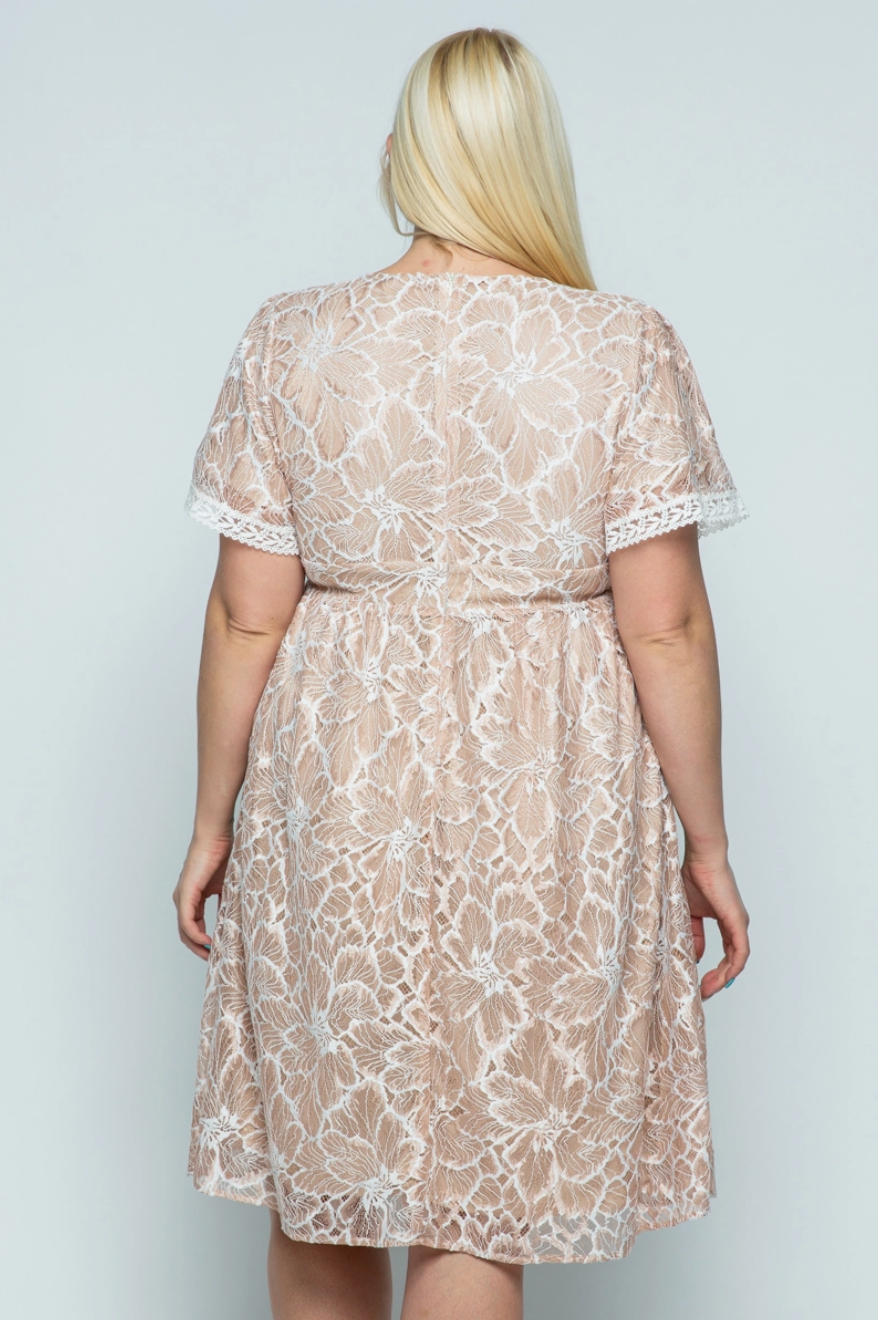 Blush Lace Curvy Fit Midi Dress