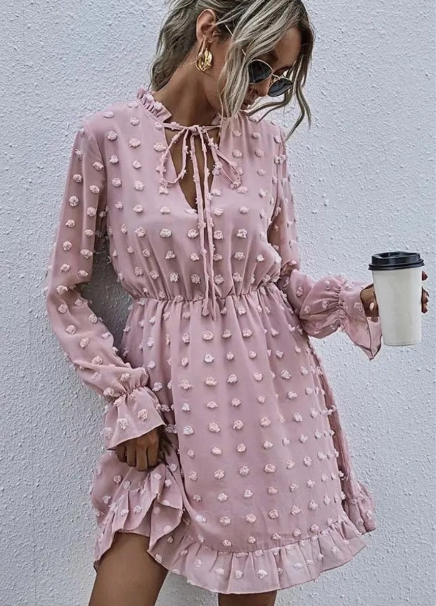 Blush Swiss Dot Long Sleeve Dress