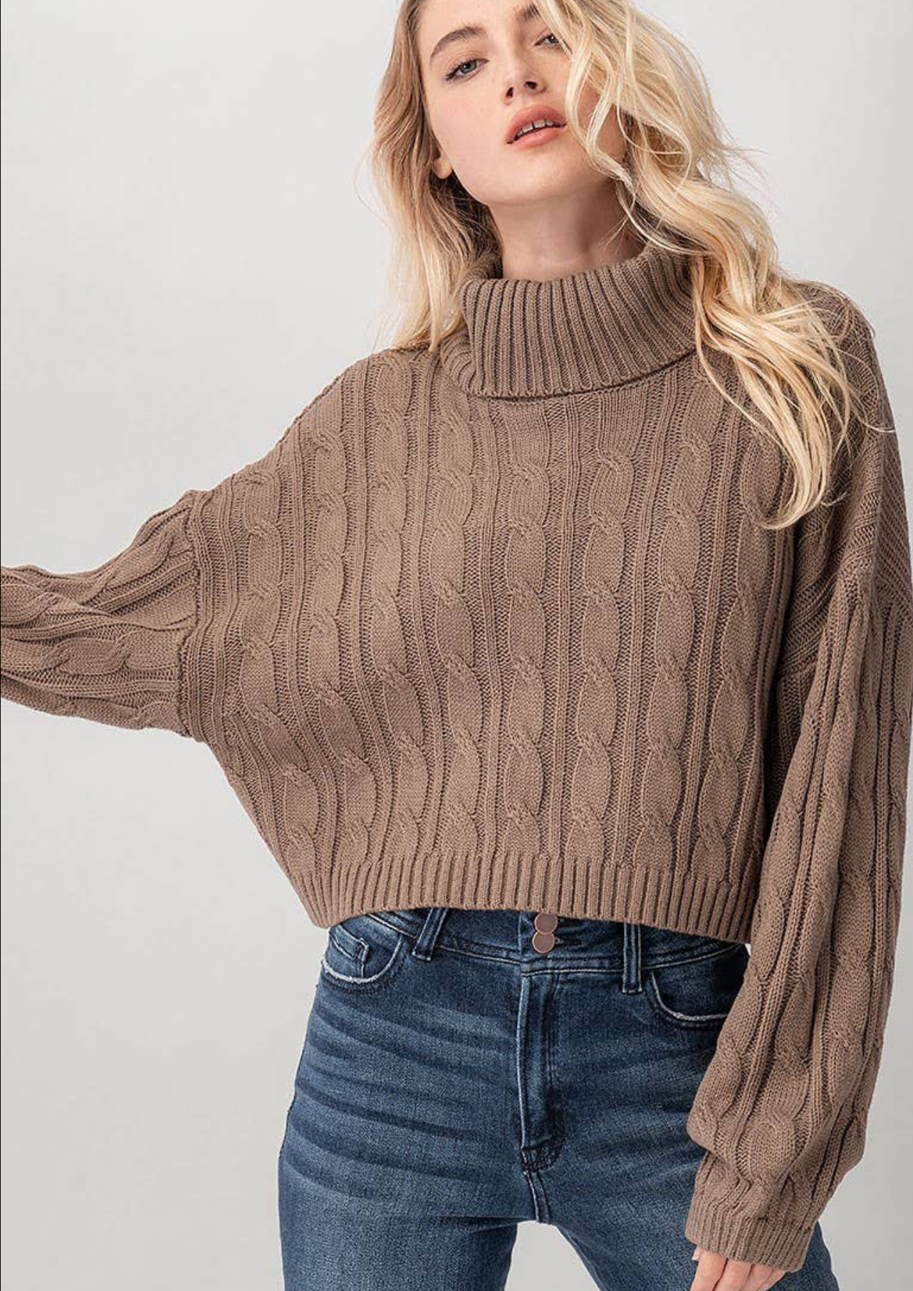 Taupe 2024 turtleneck sweater