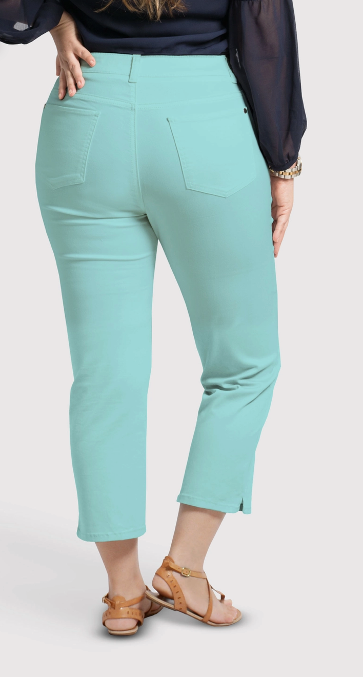 Stretch Curvy Fit Ankle Pants