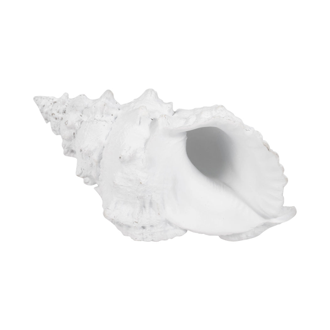 White Resin Coastal Solid Conch Shell