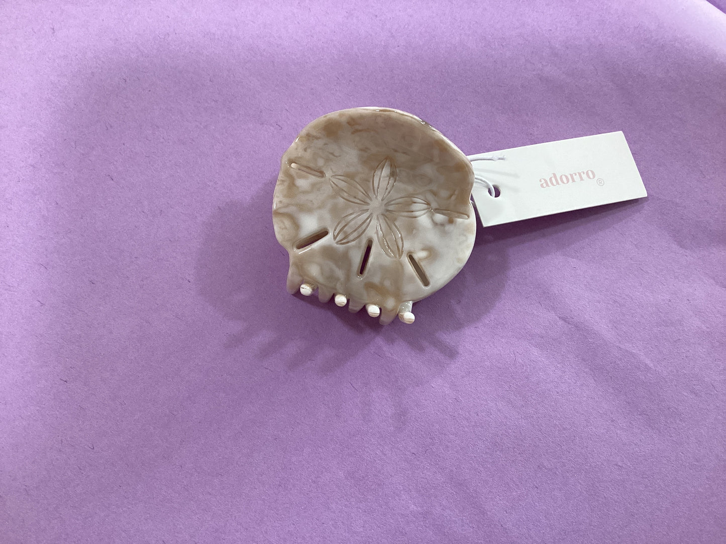 Sand Dollar Shell Hair Clip