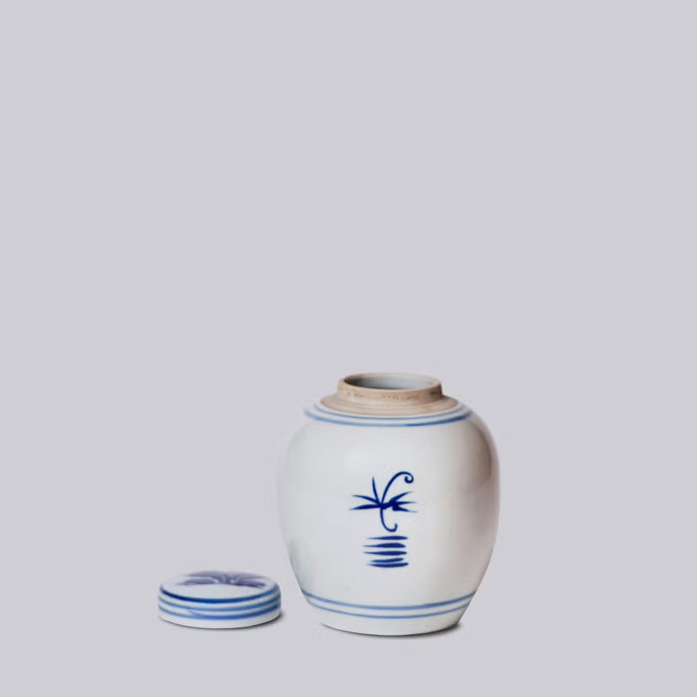 Blue and White Porcelain Abundant Peony Round Jar