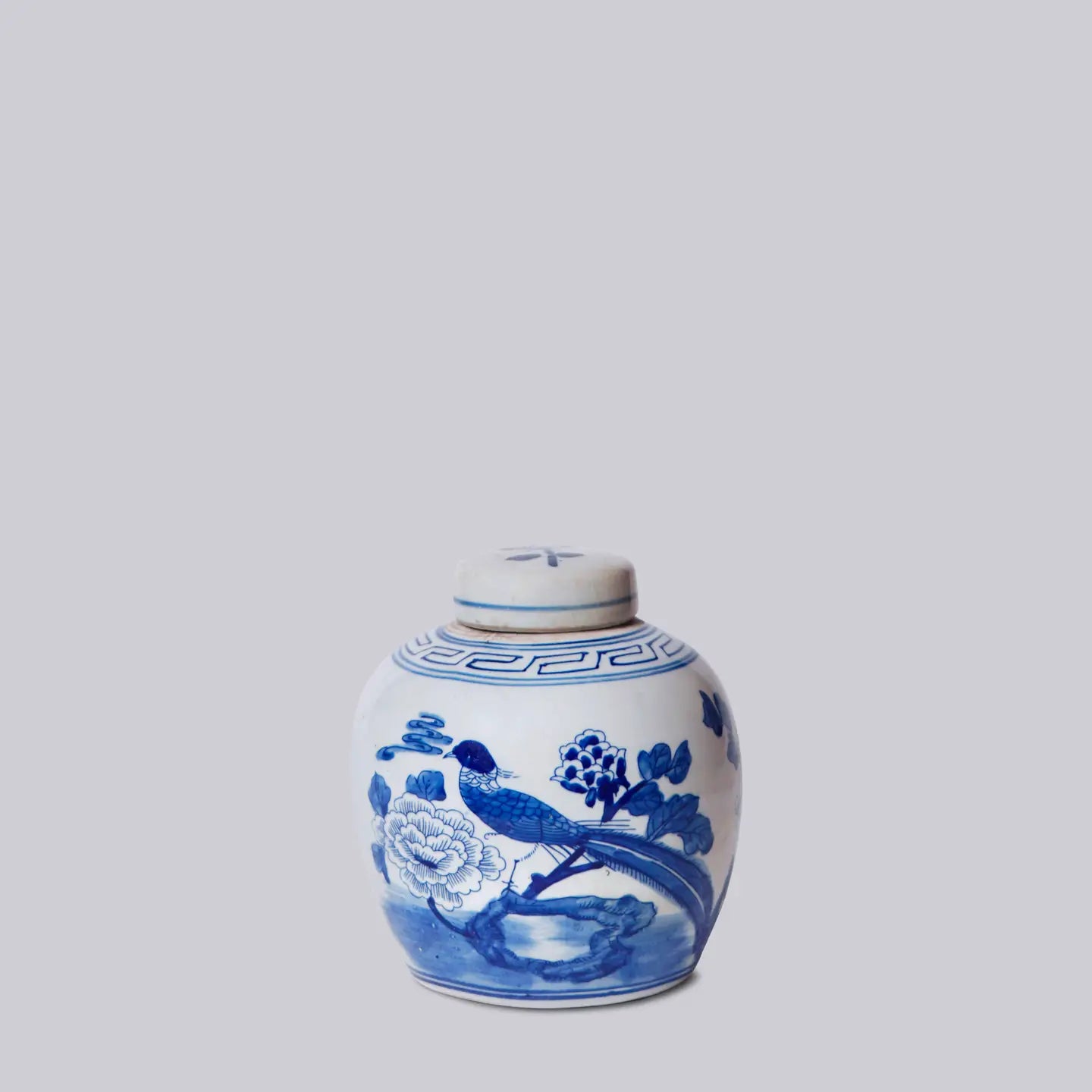 Blue and White Porcelain Pheasant Lidded Round Storage Jar