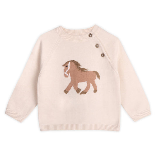 Baby Horse Sweater