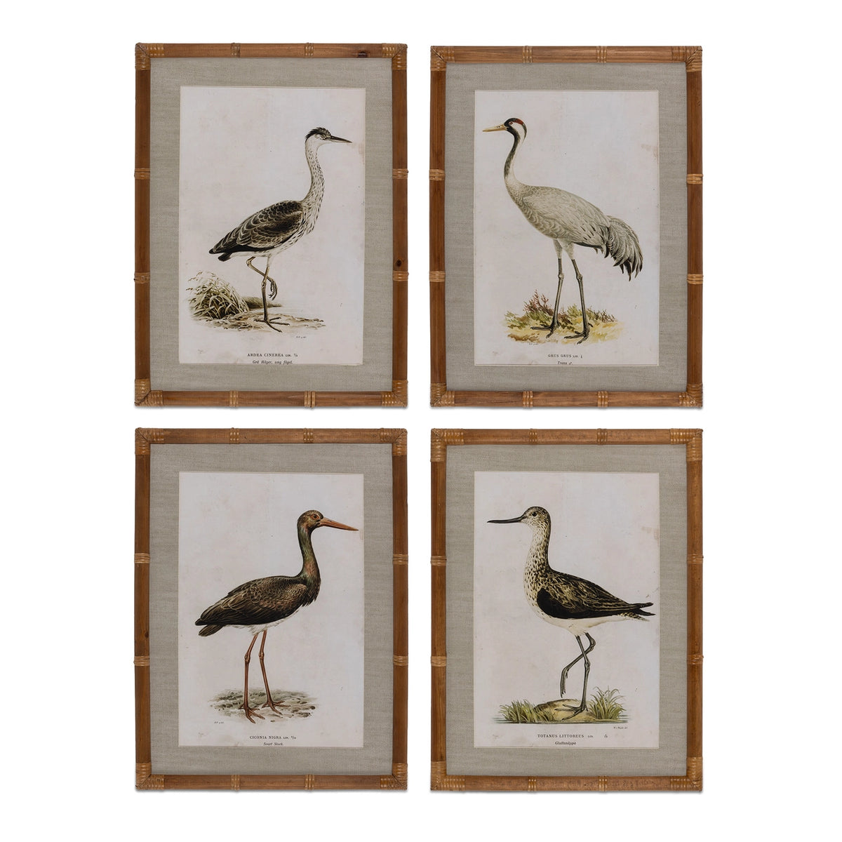 Wading Bird Prints