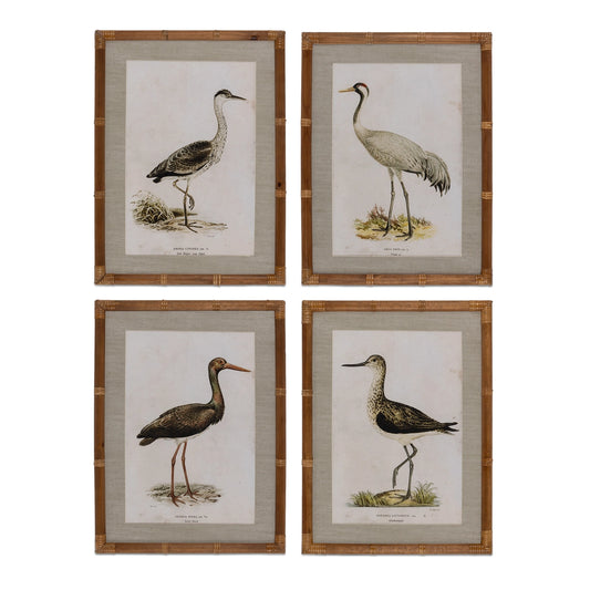Wading Bird Prints