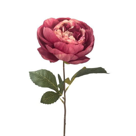 17.5" Rose Garden Peony Stem
