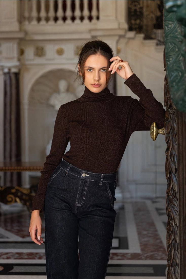 Wool Turtleneck Ribbed Sweater In Chocolate