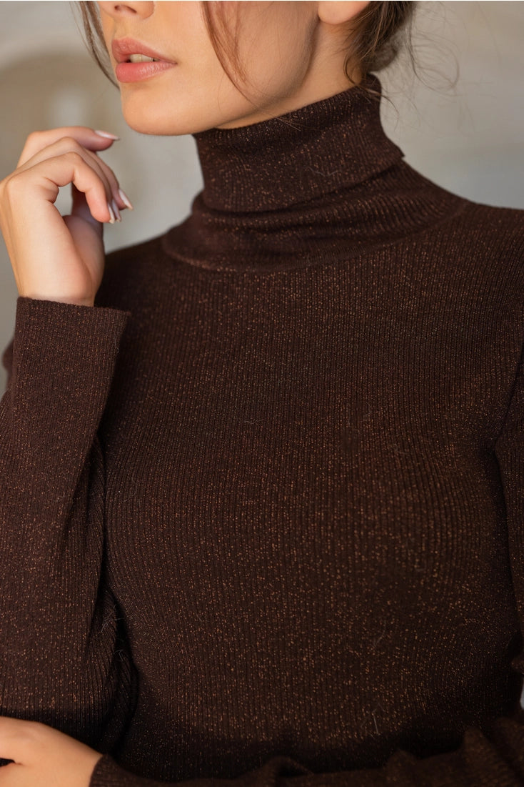 Wool Turtleneck Ribbed Sweater In Chocolate