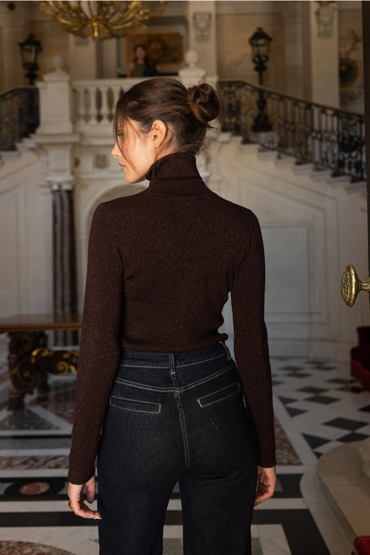 Wool Turtleneck Ribbed Sweater In Chocolate