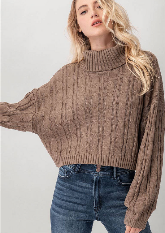 Cropped Taupe Turtleneck Sweater
